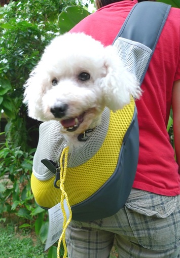 wacky paws pet backpack carrier
